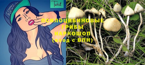 винт Краснослободск