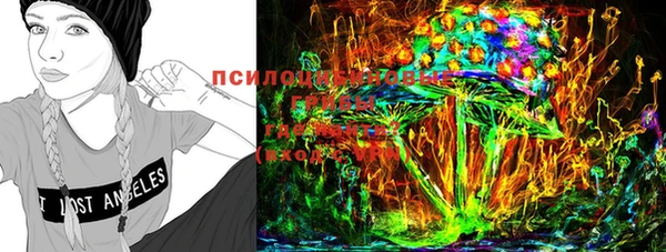 мдпв Коряжма