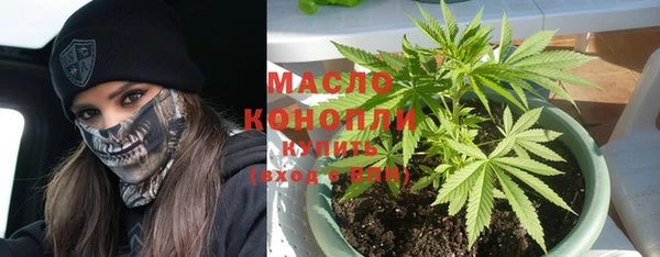 дживик Кулебаки