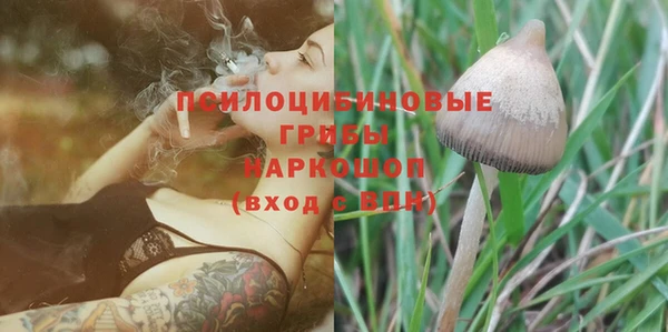 дживик Кулебаки