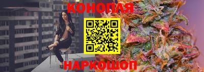 сатива Обь