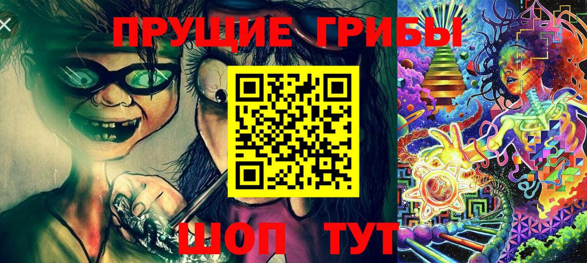 Галлюциногенные грибы Psilocybine cubensis Тара